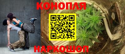 стафф Севастополь